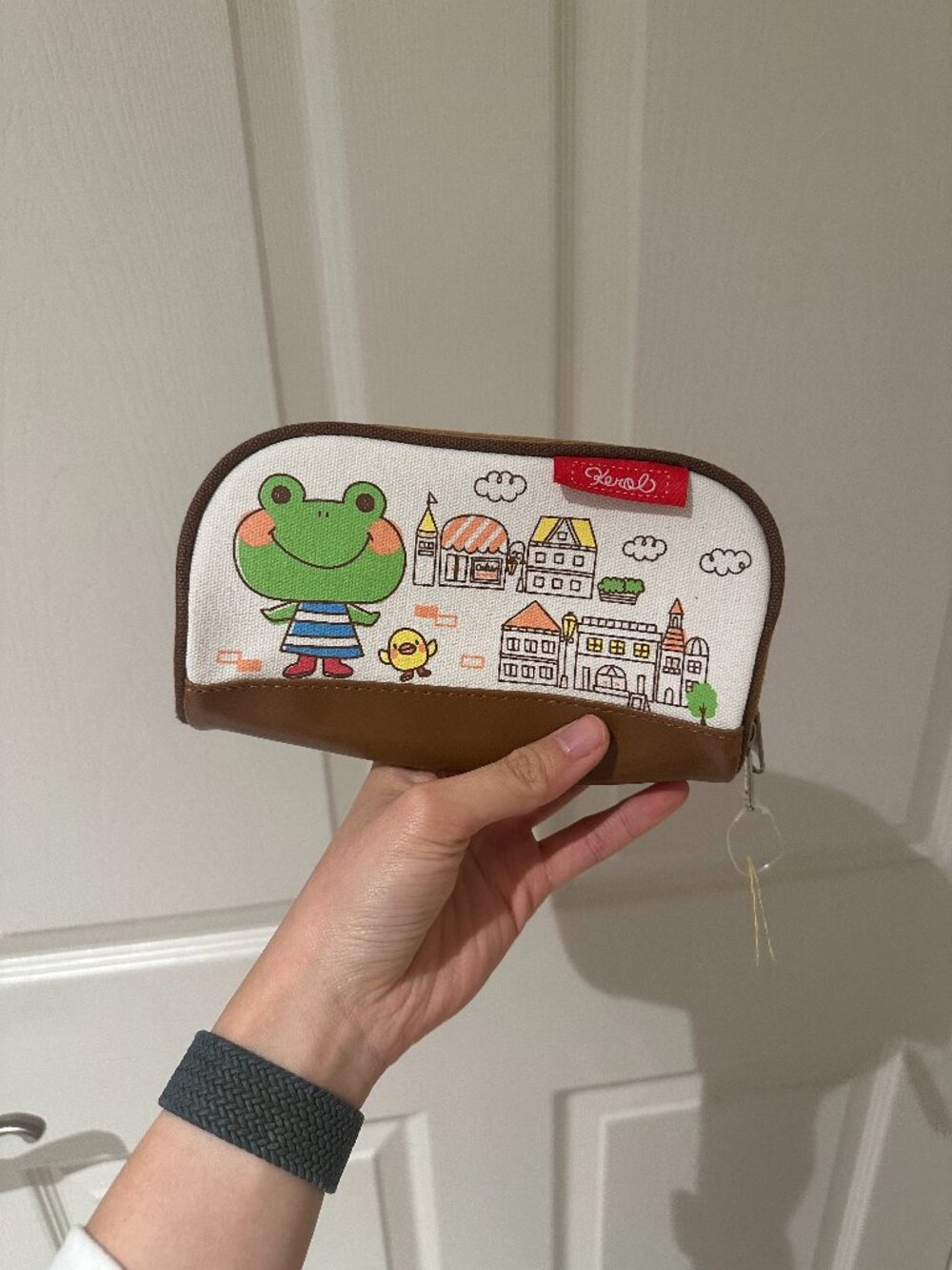 New Frog Pencil Case